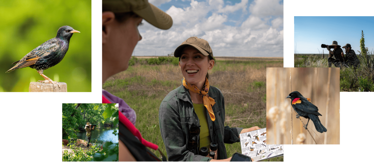 collage of birding photos with starling, red-winged black bird, two women birding