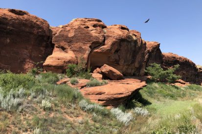 Two Buttes SWA Red Cliffs